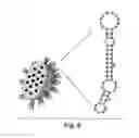 Fig. 14 - Polymers for functional particles