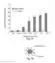 Fig. 15 - Polymers for functional particles