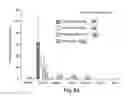 Fig. 16 - Polymers for functional particles
