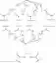 Fig. 18 - Macrocycles