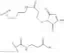 Fig. 41 - Macrocycles