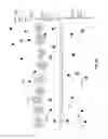 Fig. 15 - Methods of drying sheets of donor-provided human birth tissue