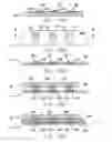 Fig. 17 - Cortical implant system for brain stimulation and recording
