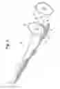 Fig. 06 - Barbell Safety Device