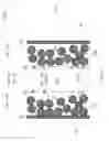 Fig. 06 - Gas-less electrolytic device and method