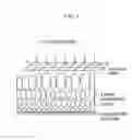 Fig. 04 - Semi-permeable membranes and production methods thereof
