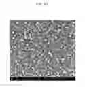 Fig. 05 - Semi-permeable membranes and production methods thereof