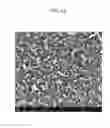 Fig. 09 - Semi-permeable membranes and production methods thereof