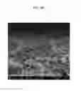 Fig. 10 - Semi-permeable membranes and production methods thereof