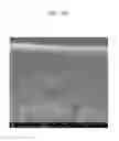 Fig. 22 - Semi-permeable membranes and production methods thereof
