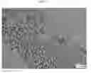 Fig. 04 - Method for manufacturing nanoparticles by detonation