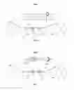 Fig. 04 - Sawing wire, method and equipment for manufacturing such a wire, and use