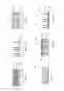Fig. 02 - Dry adhesives and methods for making dry adhesives