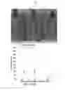 Fig. 16 - Dry adhesives and methods for making dry adhesives