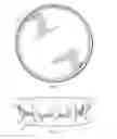 Fig. 03 - Textile cover for streamlining wide based truck or bus wheels