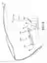 Fig. 06 - Self-inflating tire and pressure regulator