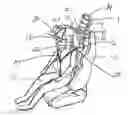 Fig. 01 - Head and neck restraining system