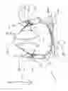 Fig. 07 - Head and neck restraining system