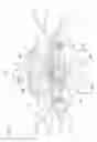 Fig. 03 - Saddle-ride vehicle