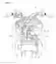 Fig. 12 - Saddle-ride vehicle