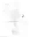 Fig. 04 - Advanced engagement small overlap deflector
