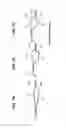 Fig. 07 - Front vehicle-body structure of vehicle