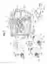 Fig. 08 - Master cylinder apparatus