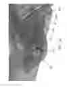 Fig. 08 - Wheel chock apparatus and methods of using the same