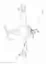 Fig. 02 - Flying machine