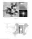 Fig. 02 - Ultrahard nanotwinned boron nitride bulk materials and synthetic method thereof