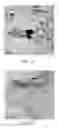 Fig. 03 - Method of producing highly dispersed graphene organic dispersion and application thereof