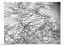 Fig. 01 - Calcium sulfate crystals and methods for making the same