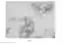 Fig. 03 - Calcium sulfate crystals and methods for making the same