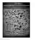 Fig. 01 - Porous glass ceramic composition and method for manufacturing the same