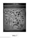 Fig. 08 - Porous glass ceramic composition and method for manufacturing the same