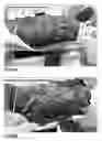 Fig. 06 - Plant growth medium