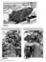 Fig. 08 - Plant growth medium