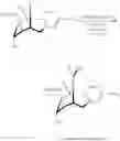 Fig. 43 - (−)-Huperzine A processes and related compositions and methods of treatment