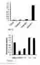 Fig. 09 - Curcumin analogs