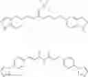 Fig. 41 - Curcumin analogs