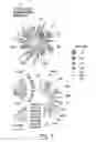 Fig. 06 - Salicylic acid derivatives, pharmaceutically acceptable salt thereof, composition thereof and method of use thereof