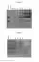 Fig. 02 - Isolation of cysteine containing peptides