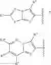 Fig. 12 - PAR4 agonist peptides