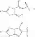 Fig. 53 - PAR4 agonist peptides