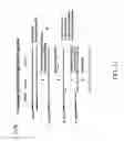 Fig. 13 - Methods of constructing libraries comprising displayed and/or expressed members of a diverse family of peptides, polypeptides or proteins and the novel libraries