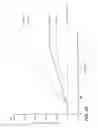 Fig. 07 - Antibodies against human CSF-1R and uses thereof
