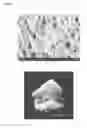 Fig. 07 - NFC stabilized foam
