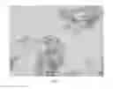 Fig. 03 - GYPSUM COMPOSITE MODIFIERS