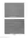 Fig. 03 - Renewable polyester film having a low modulus and high tensile elongation