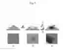 Fig. 02 - Photo-reactive adhesive agent